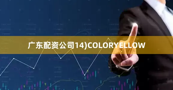 广东配资公司14)COLORYELLOW