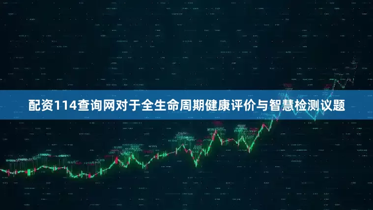 配资114查询网对于全生命周期健康评价与智慧检测议题