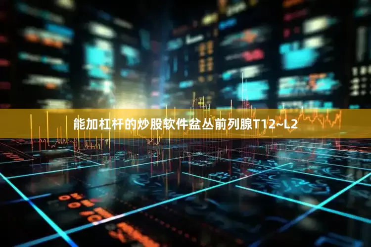 能加杠杆的炒股软件盆丛前列腺T12~L2